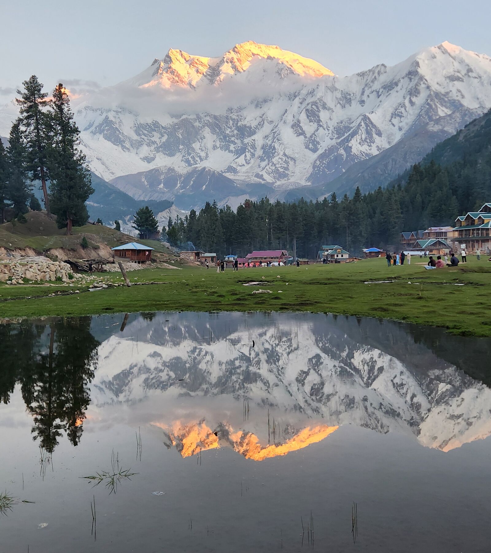 Fairy Meadows — Nanga Parbat at golden hour